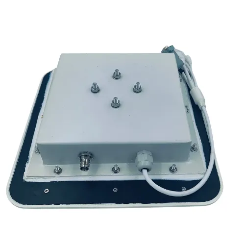 2 Port Integrated Reader IF9A, view 2